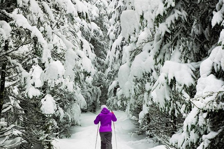 Cross-country Skiing