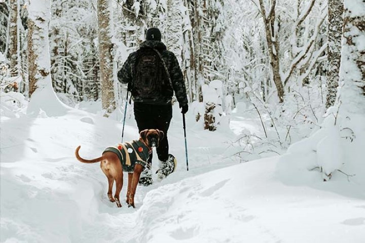 Snowshoeing